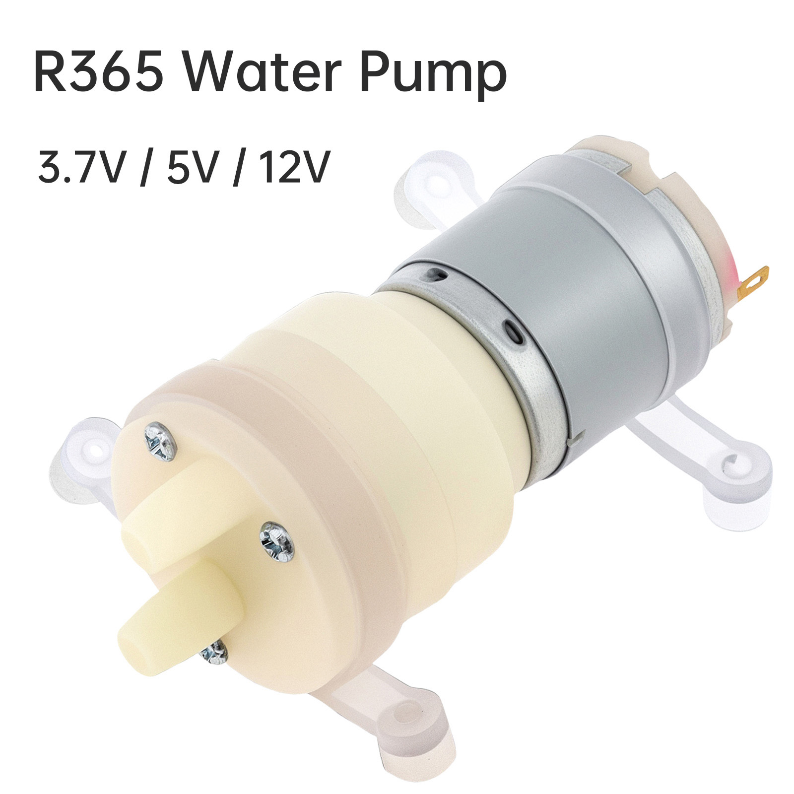 R365 Micro Water Pump Motor DC - đánh giá và giá Mini Peristaltic Pump 12V