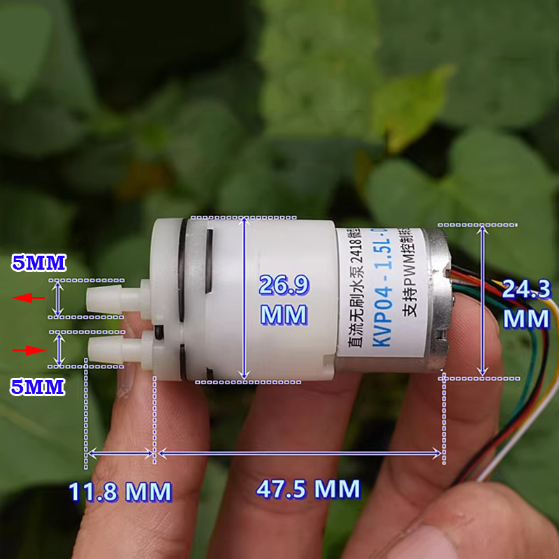 DC 6V 9V 12V Mini 310 Brushles - đánh giá và giá Mini Peristaltic Pump 12V