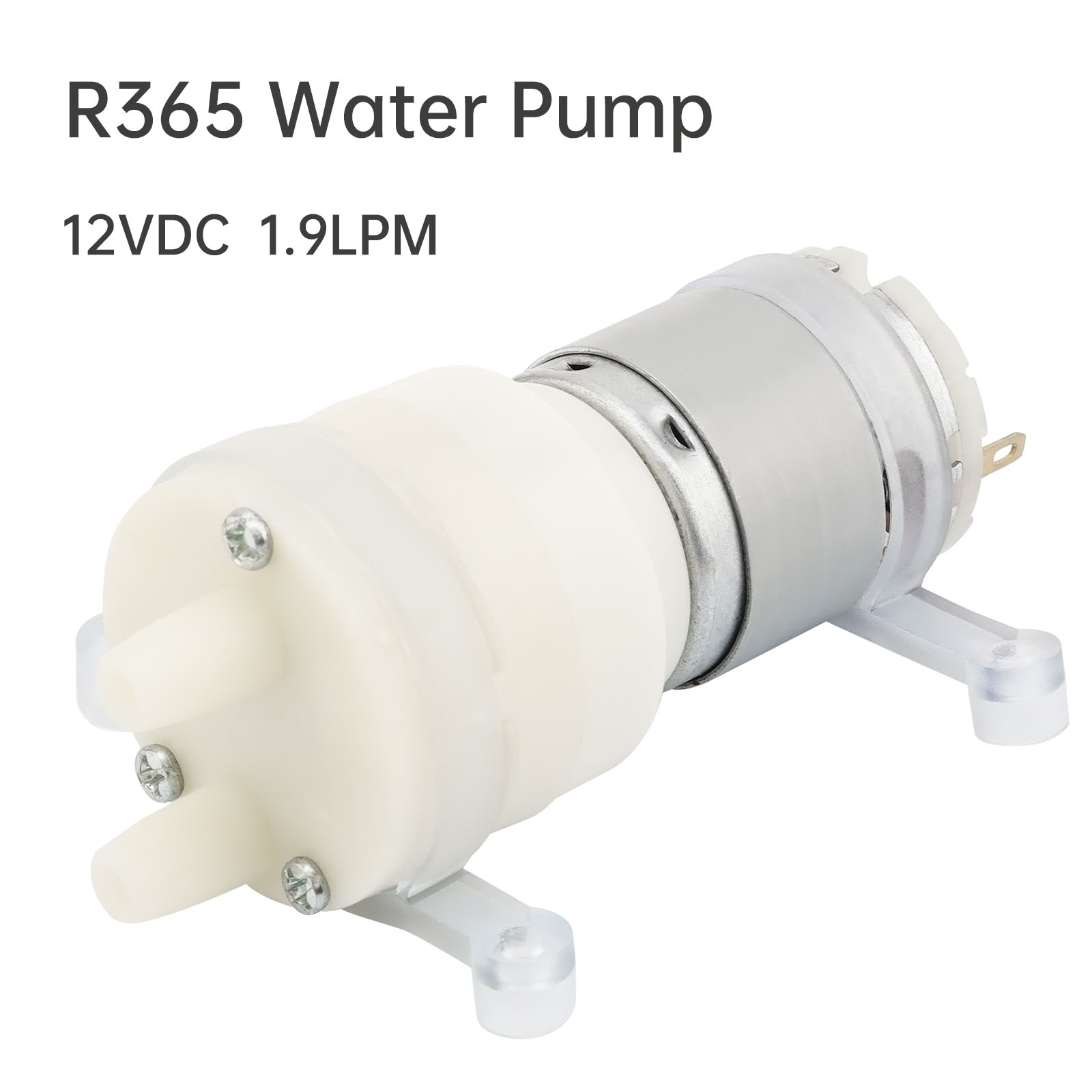R365 Micro Water Pump Motor DC - đánh giá và giá Mini Peristaltic Pump 12V